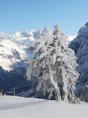 شقة Schmaranzer