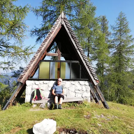 Schmaranzer