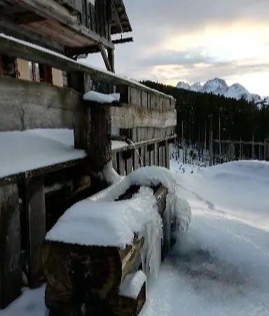 Schmaranzer *