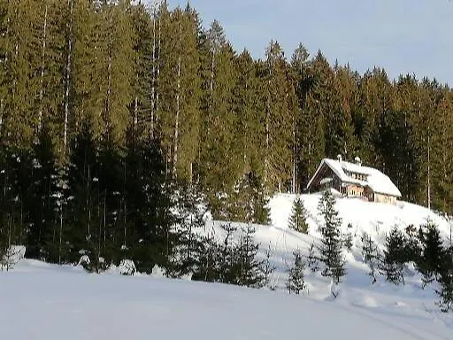 Daire Schmaranzer Gosau