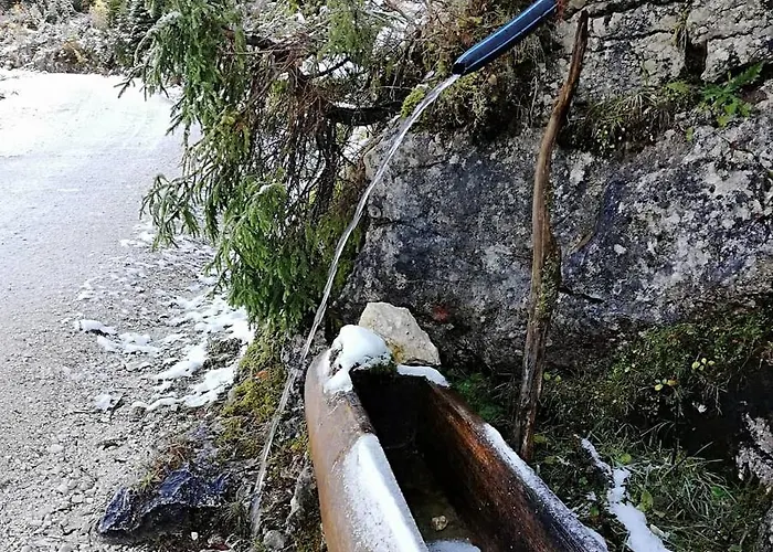 Appartement Schmaranzer